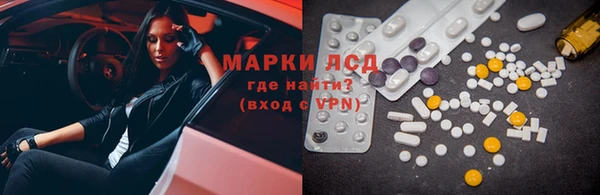 индика Краснослободск