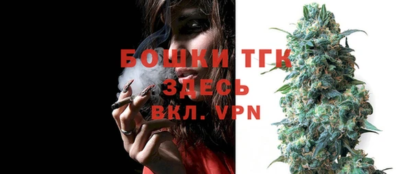 тгк Кукмор