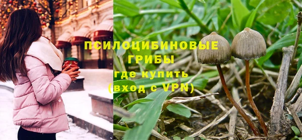 тгк Кукмор