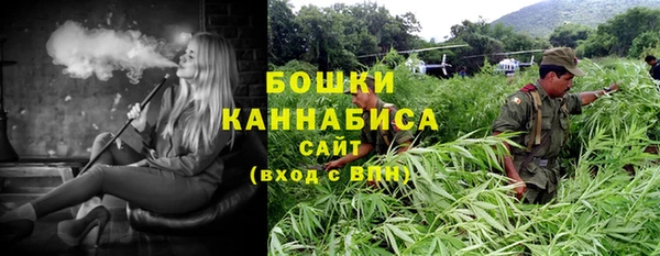 спайс Кулебаки