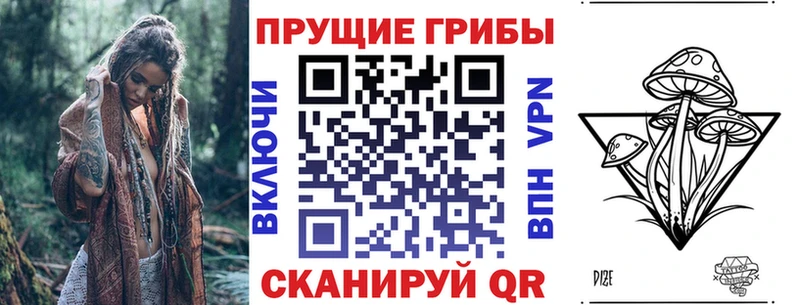 Галлюциногенные грибы Psilocybine cubensis  продажа наркотиков  Малаховка 